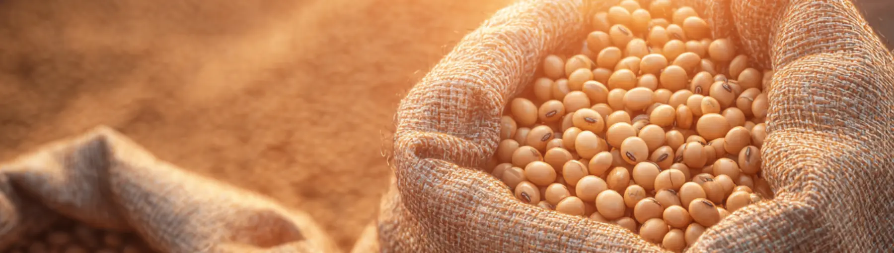 Grains Brokerage Background